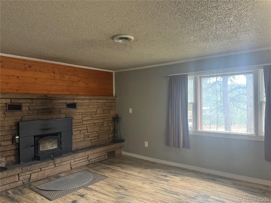 63 Fitzsimmons Road, Bailey, CO 80421 - #3
