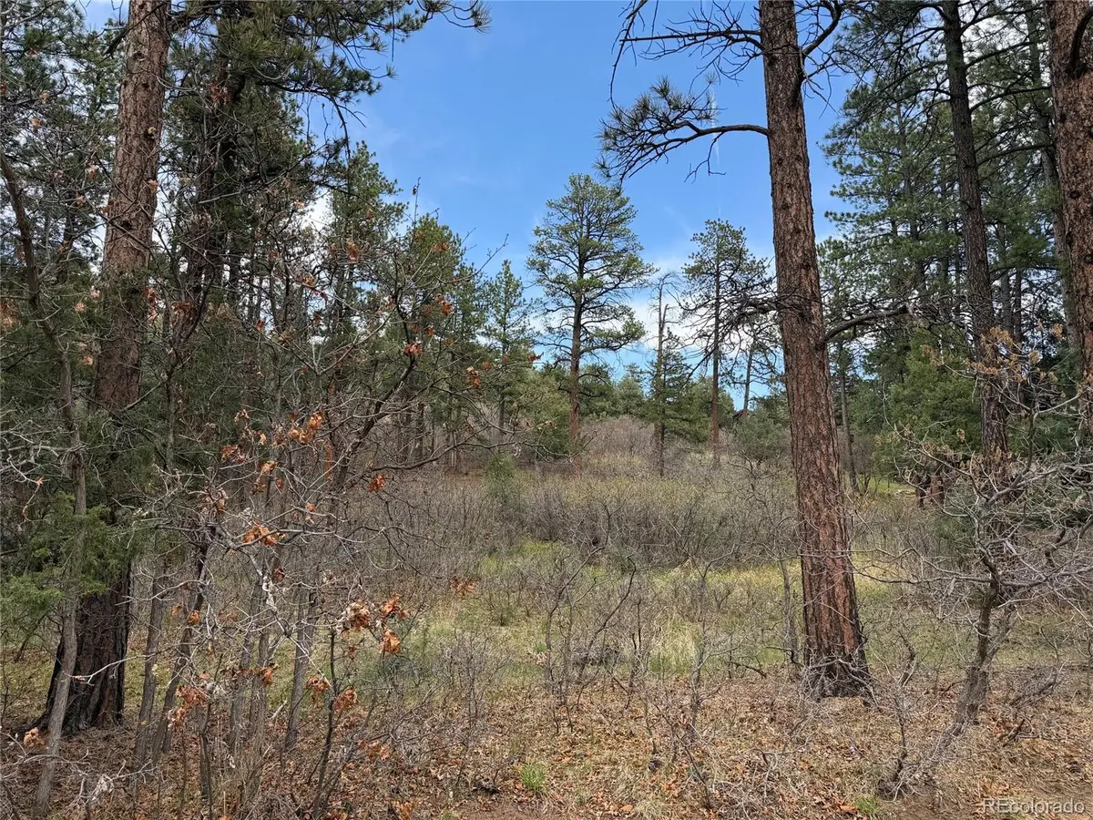 4885 Red Rock Drive, Larkspur, CO 80118 - #1