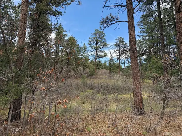 4885 Red Rock Drive, Larkspur, CO 80118