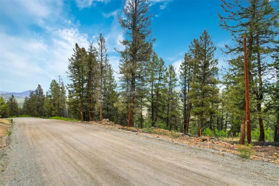0 Trout Creek Lane, Fairplay, CO 80440 - Image #3