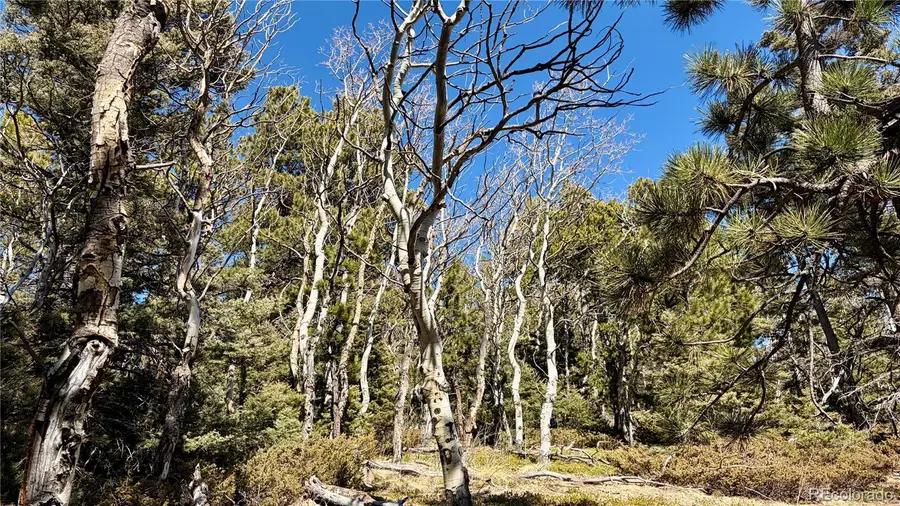 2796 Moir Drive, Fort Garland, CO 81133 - #3