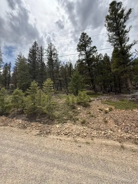 2689 Redhill Road, Fairplay, CO 80440 - #1