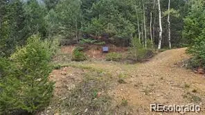 Olympic And Hecla Mines, Dumont, CO 80436 - #2