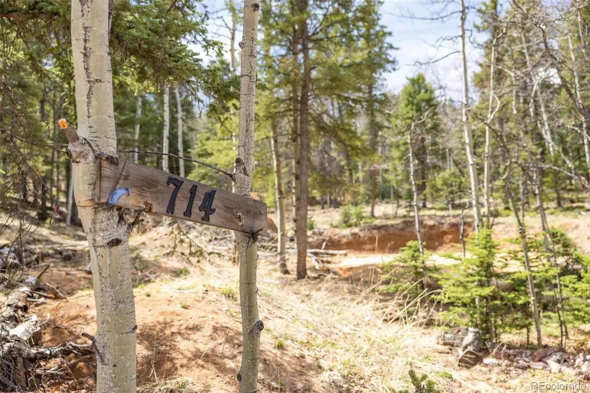 714 Will Stutley Drive, Divide, CO 80814 - #1