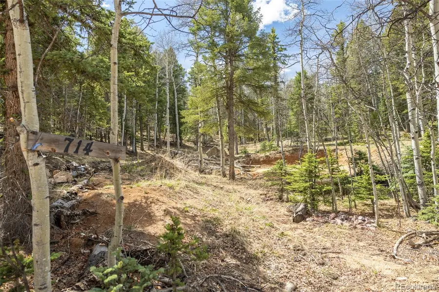 714 Will Stutley Drive, Divide, CO 80814 - #3