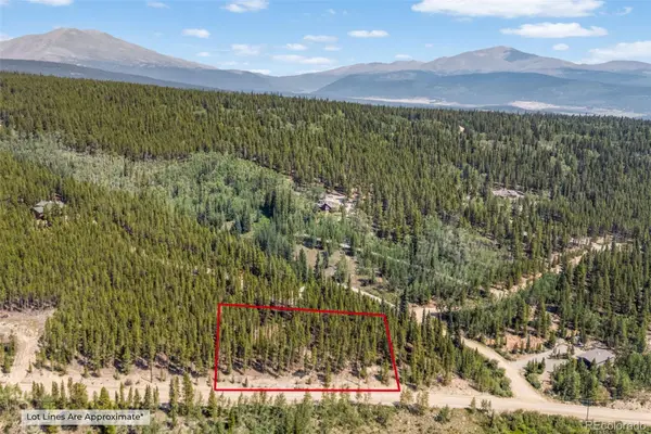 3075 Nugget Road, Fairplay, CO 80440