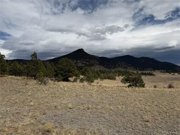 74 Craig Lane, Hartsel, CO 80449