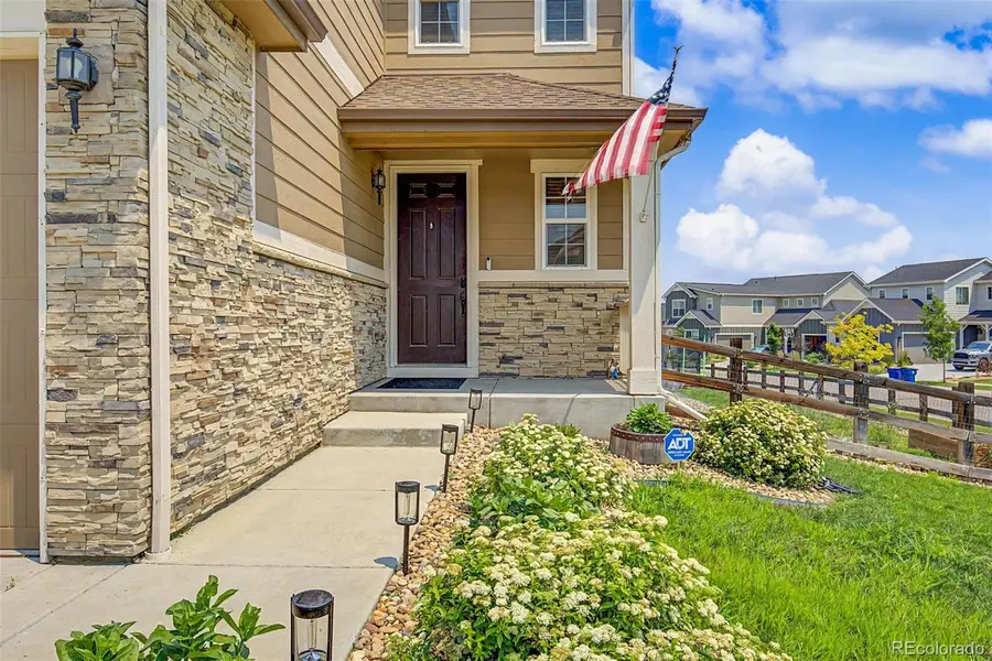 12648 Canoe Street, Longmont, CO 80504 - #2