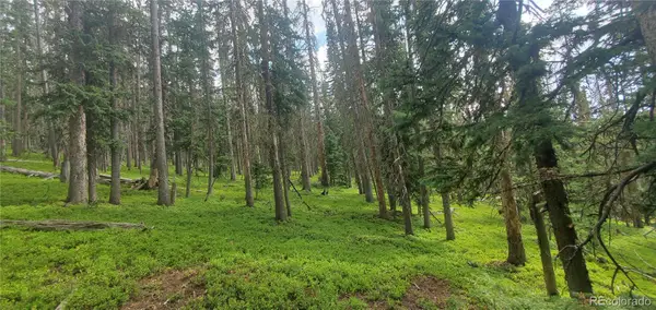 Lot 6542 Schlueter Road, Fort Garland, CO 81133