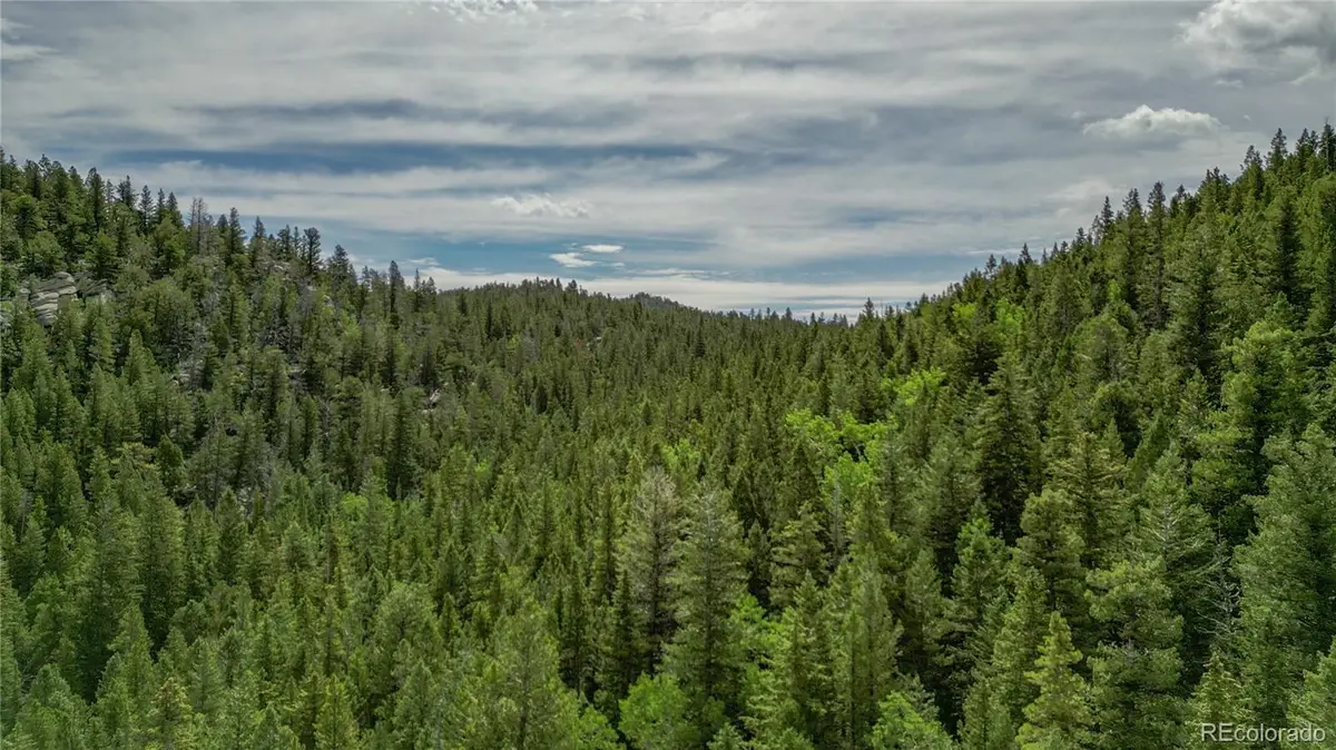 850 Lupine Place, Black Hawk, CO 80422 - #1