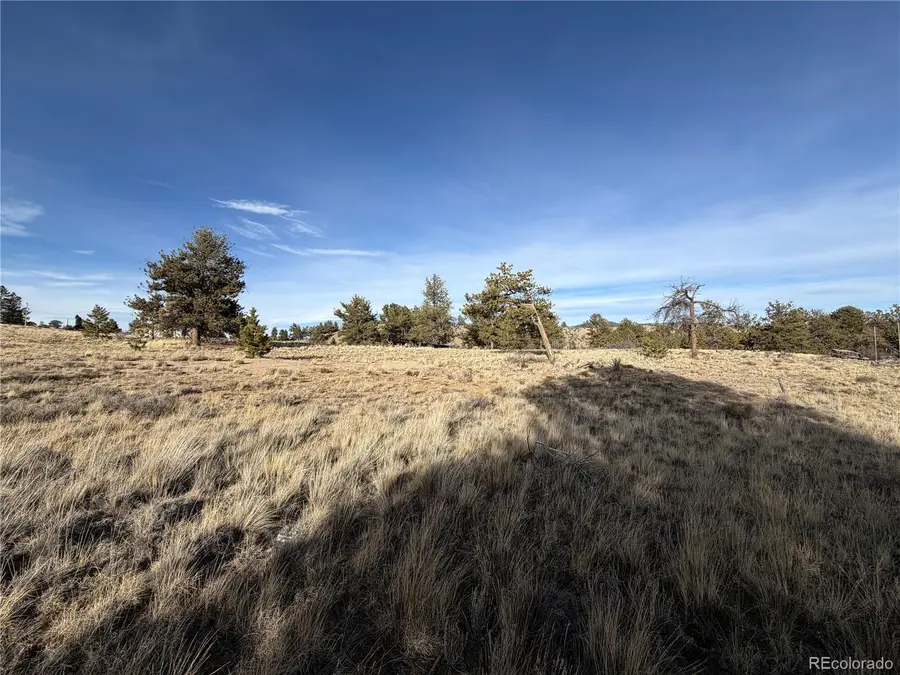 Oak Street, Hartsel, CO 80449 - #2