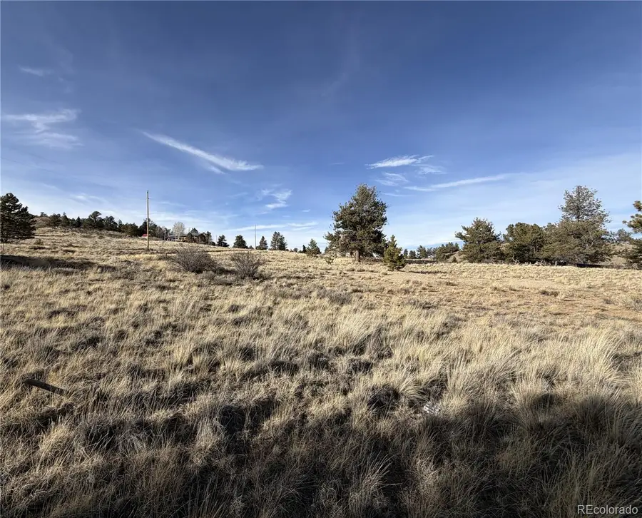 Oak Street, Hartsel, CO 80449 - #3