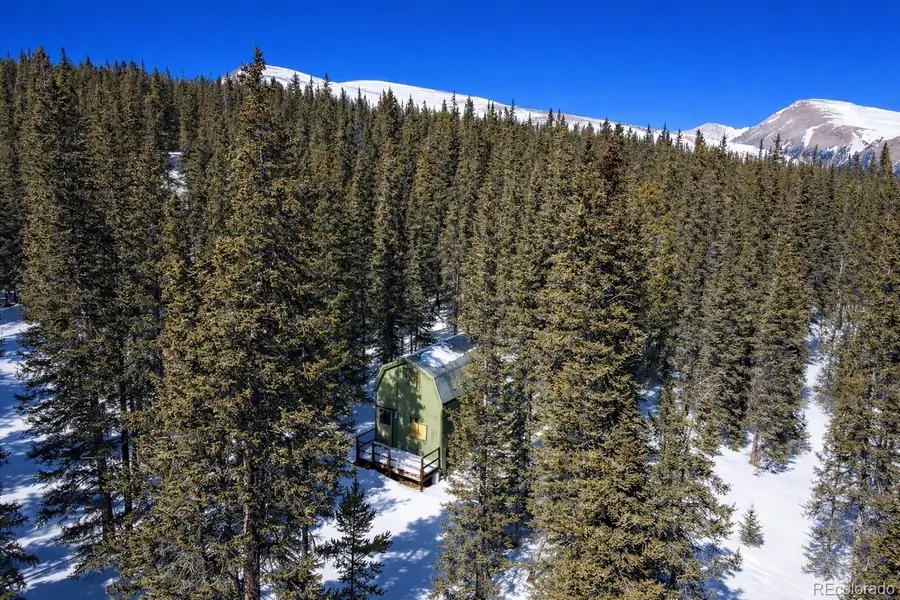 163 Prunes Place, Fairplay, CO 80440 - #2