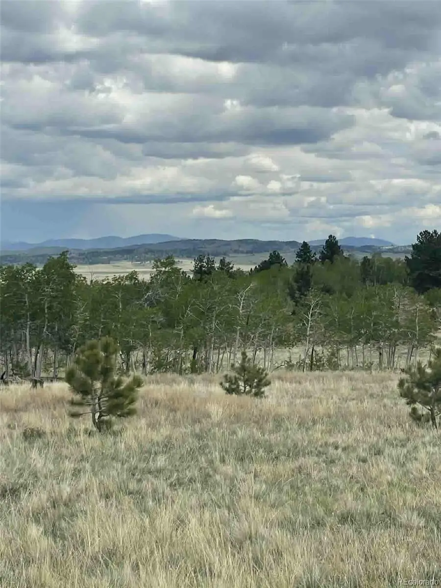 187 Angus Circle, Hartsel, CO 80449 - #1
