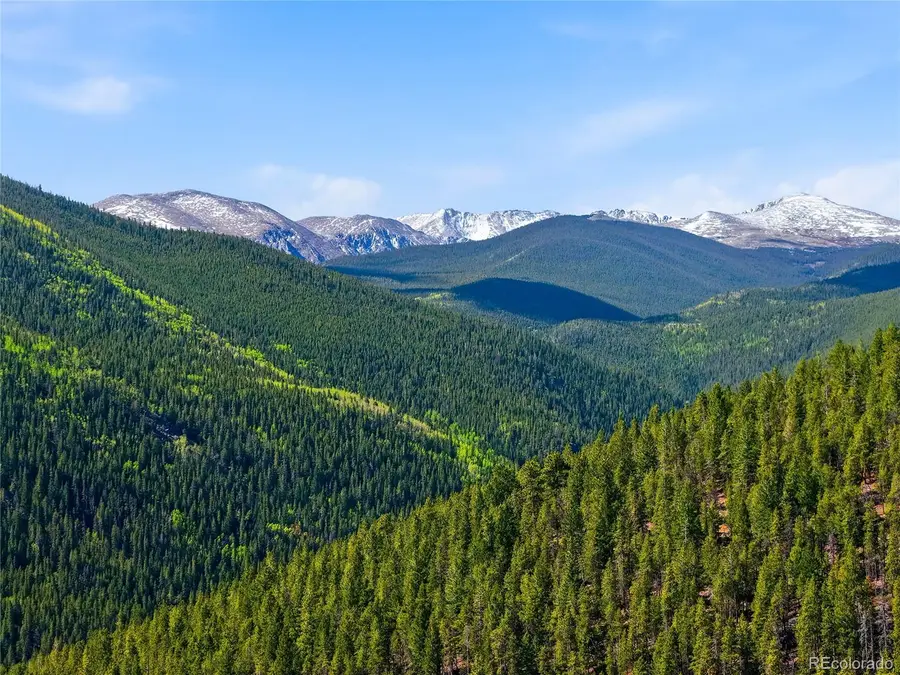 600 Ute Creek Road, Idaho Springs, CO 80452 - #2