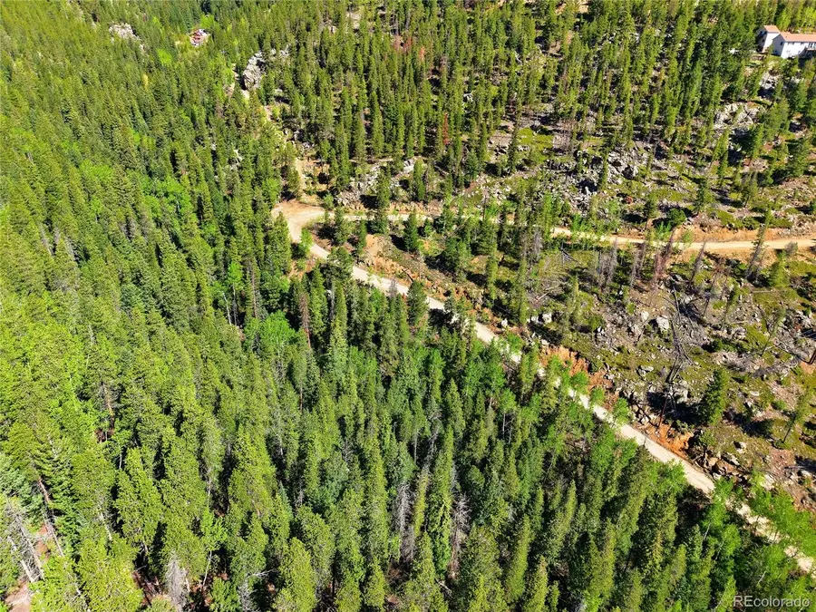 600 Ute Creek Road, Idaho Springs, CO 80452 - #3