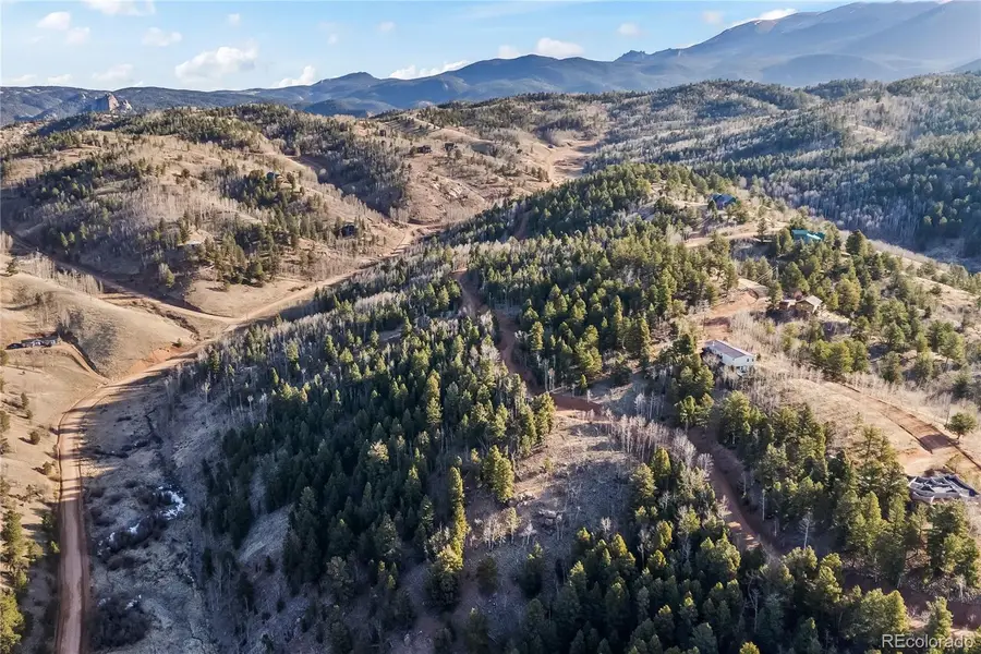 728 Little Topsey Drive, Cripple Creek, CO 80813 - #3