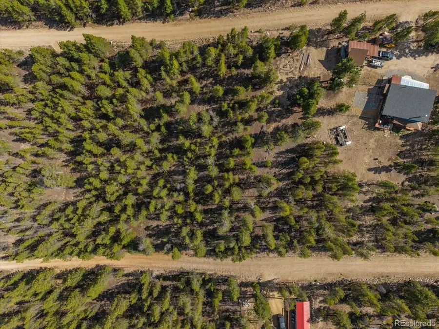 198 Lodgepole Drive, Leadville, CO 80461 - #3