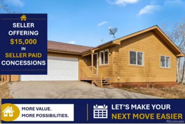 316 3rd Street, Fairplay, CO 80440