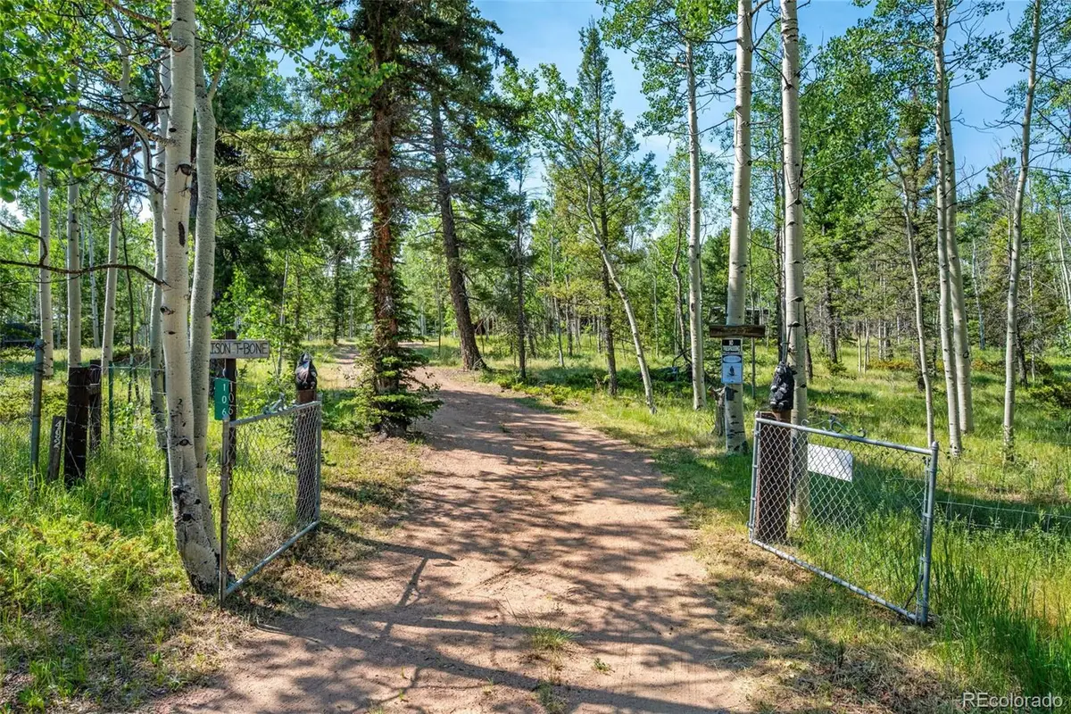 106 Forest Court, Florissant, CO 80816 - #1