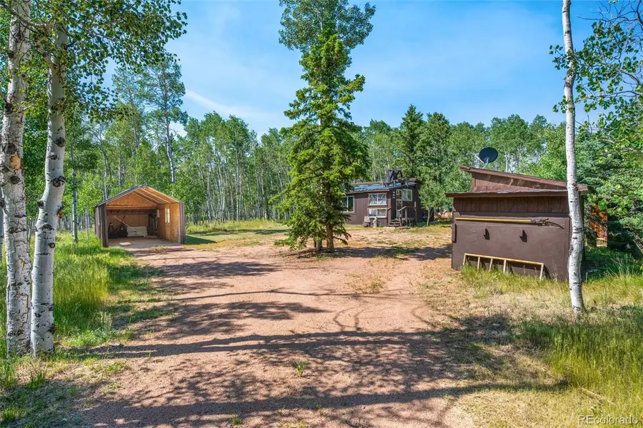 106 Forest Court, Florissant, CO 80816 - #2