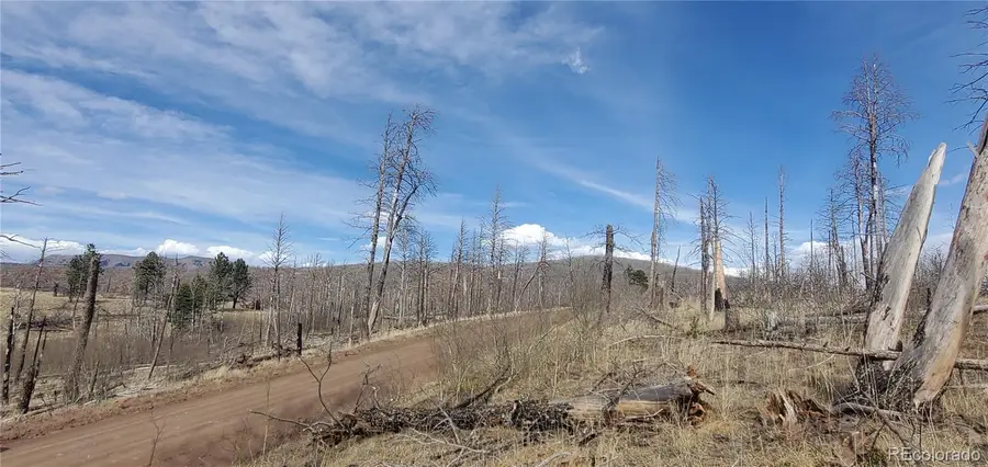 lot 1223 Emery Loop, Fort Garland, CO 81133 - #2