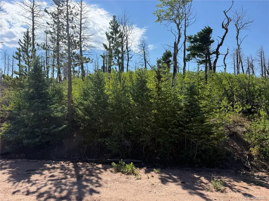 Lot 2499 Gilmartin Lane, Fort Garland, CO 81133 - #3