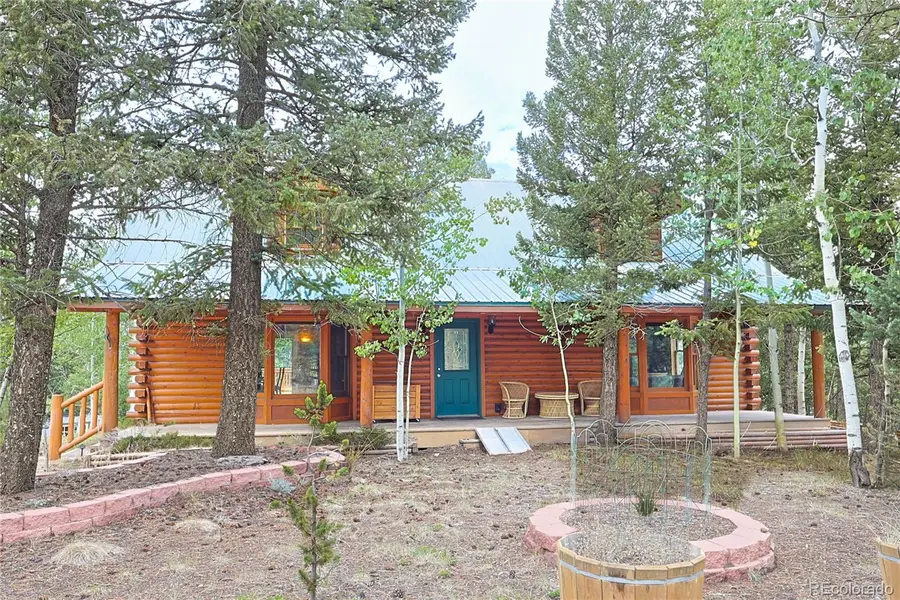 5527 County Road 5 Road, Divide, CO 80814 - #2