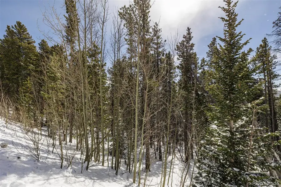 757 Texas Drive, Idaho Springs, CO 80452 - #3