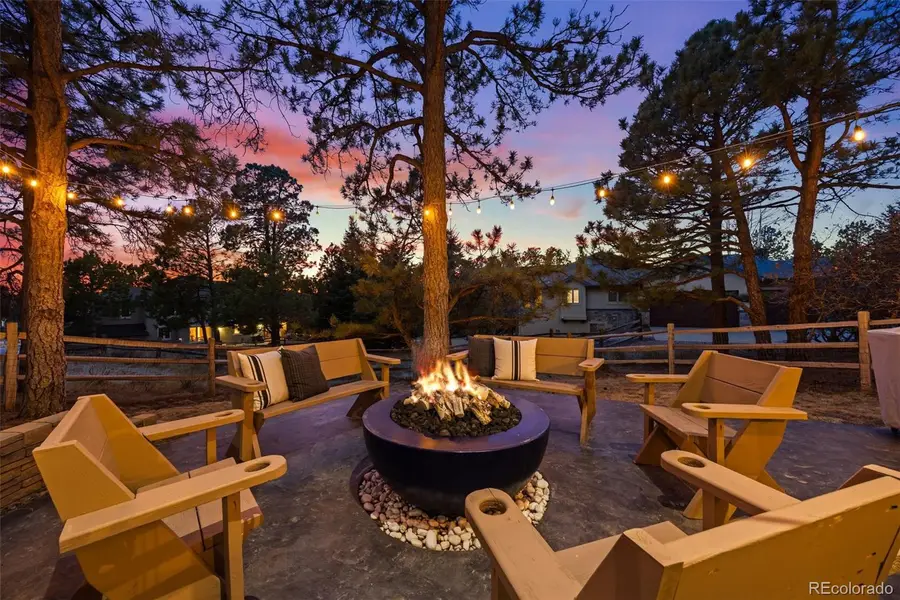 8668 Windhaven Drive, Parker, CO 80134 - #3