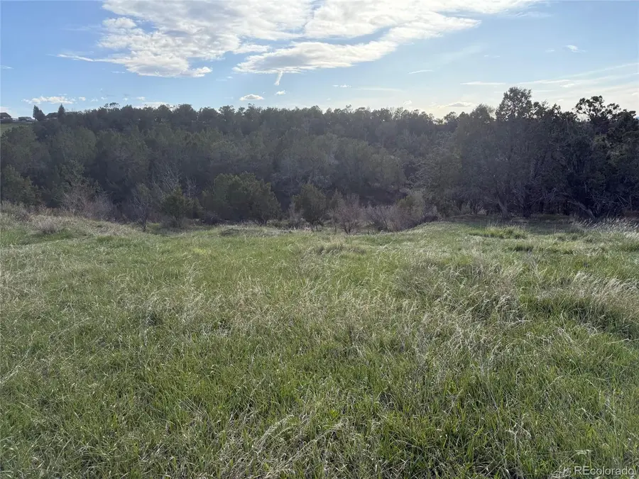 14495 N Scott Loop, Collbran, CO 81624 - Image #3