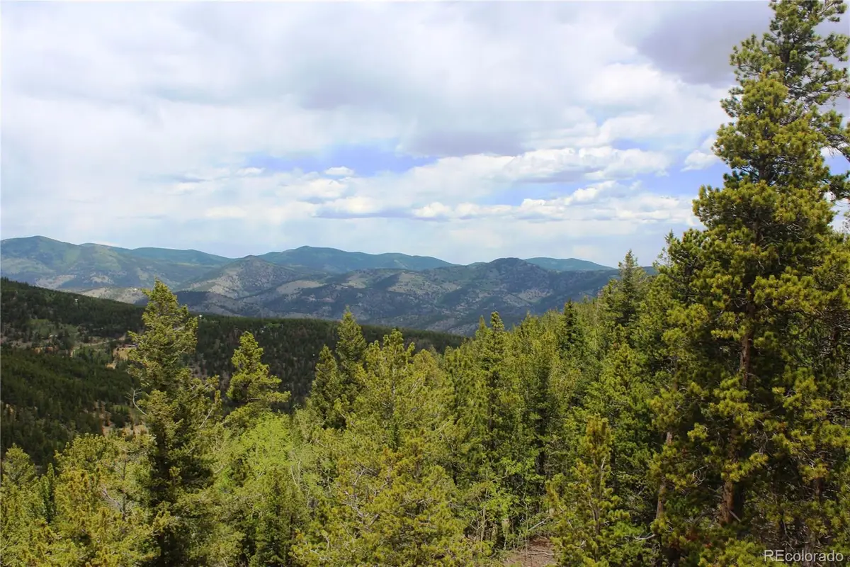 19129 Eliza, Idaho Springs, CO 80461 - #1
