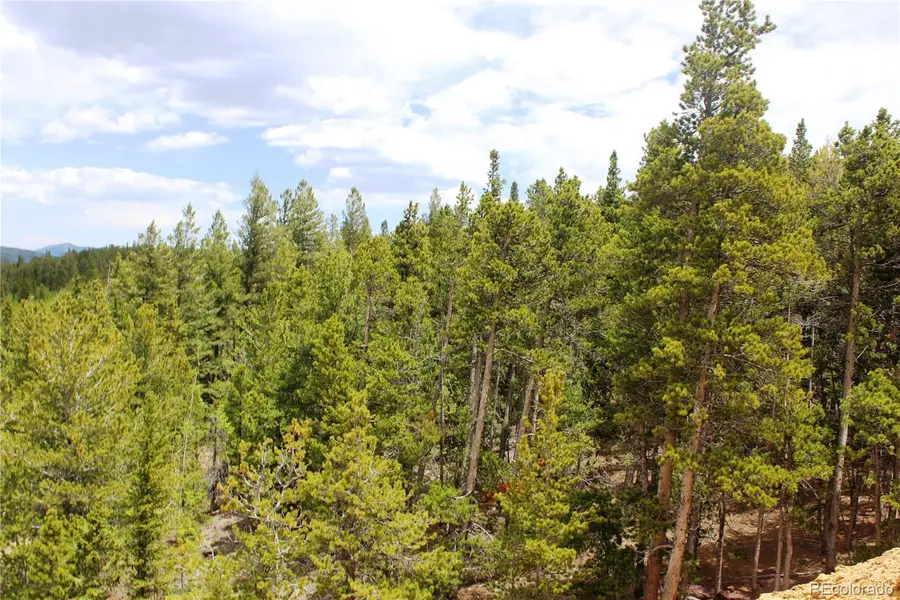19129 Eliza, Idaho Springs, CO 80461 - #3
