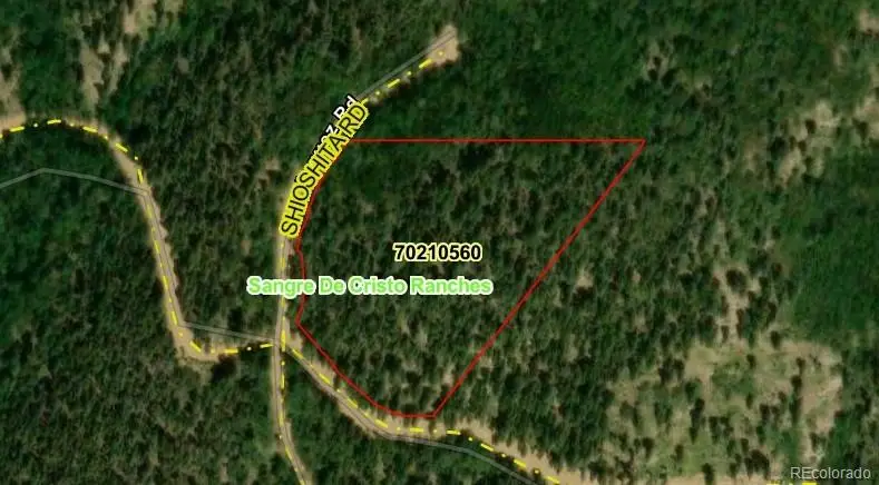 LOT 6447 Shoshita Road, San Luis, CO 81152 - #1