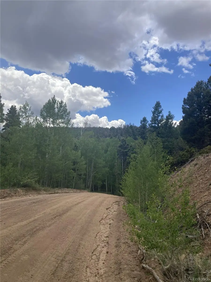 LOT 6447 Shoshita Road, San Luis, CO 81152 - #3