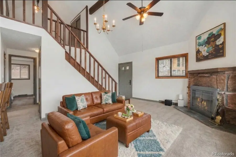 201 Silver Creek Road, Idaho Springs, CO 80452 - #2