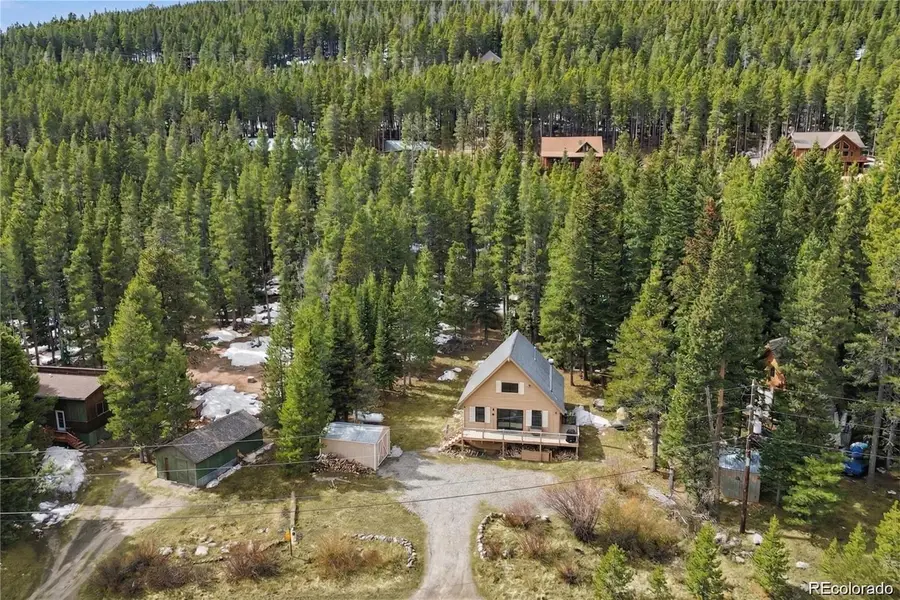 201 Silver Creek Road, Idaho Springs, CO 80452 - #3