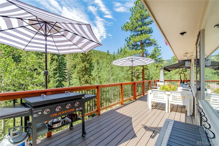 7992 County Road 43, Bailey, CO 80421 - #2