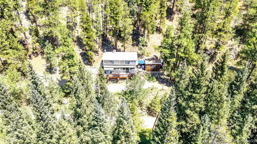 7992 County Road 43, Bailey, CO 80421 - #3