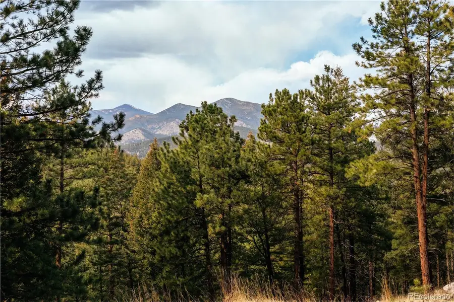26885 Mountain Park Road, Evergreen, CO 80439 - #3