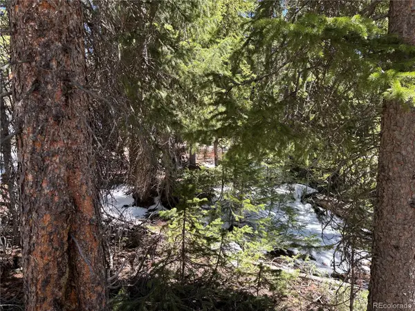 192 Kimmes Lane, Breckenridge, CO 80424