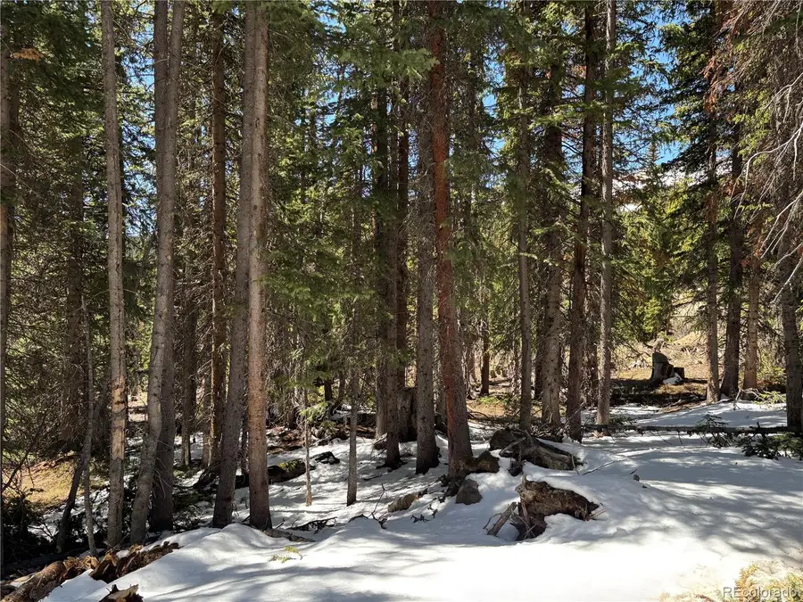 192 Kimmes Lane, Breckenridge, CO 80424 - #3