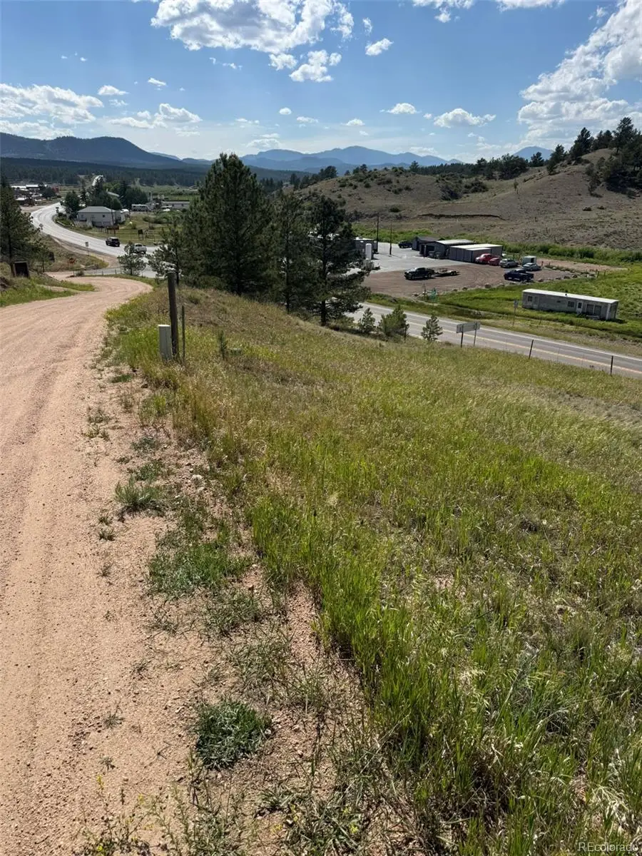 137 Hillside Drive, Florissant, CO 80816 - #1
