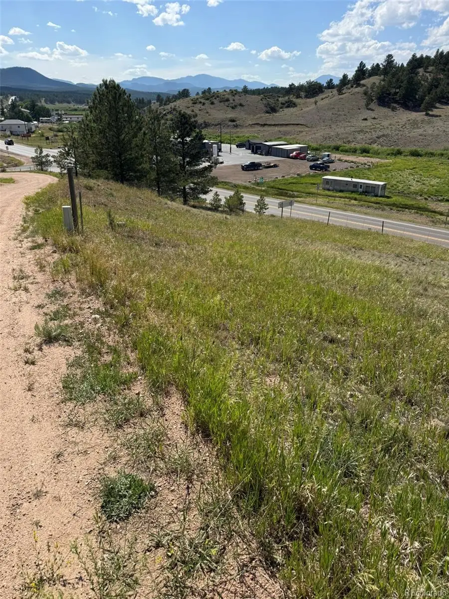 137 Hillside Drive, Florissant, CO 80816 - #2