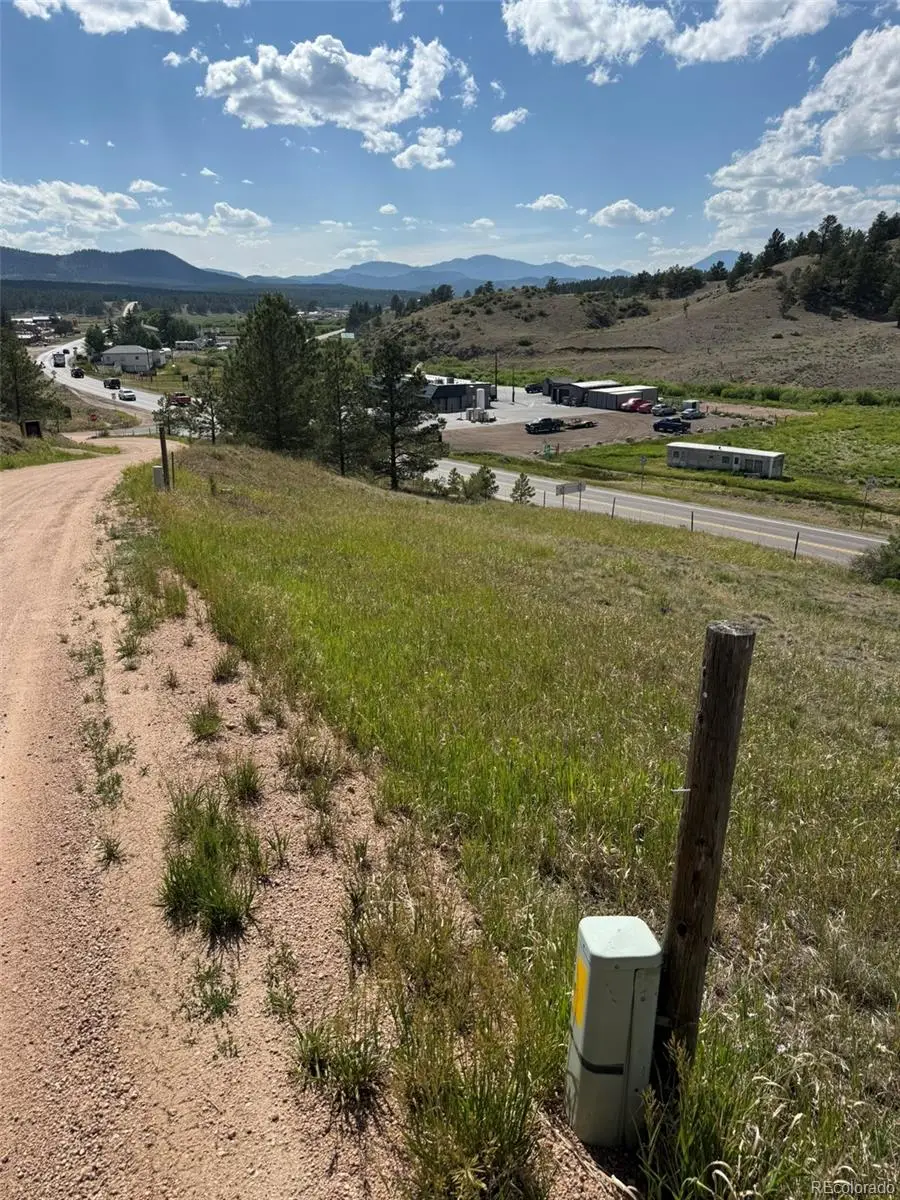 137 Hillside Drive, Florissant, CO 80816 - #3