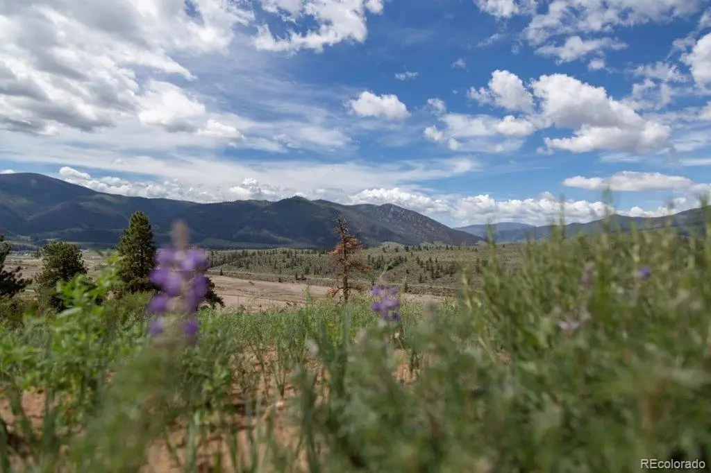 645 Cliff View Drive, Creede, CO 81130 - #1
