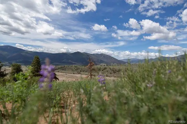 645 Cliff View Drive, Creede, CO 81130