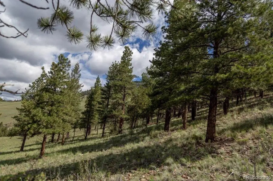 645 Cliff View Drive, Creede, CO 81130 - #2