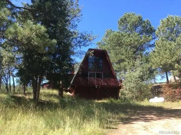 19221 S Buffalo Creek Road, Pine, CO 80470