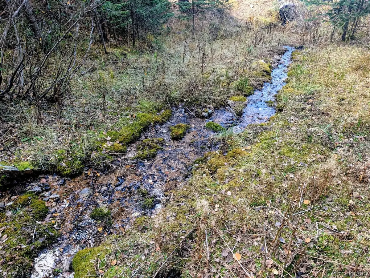 48 Acres Forbes Road, Fort Garland, CO 81133 - Image #1